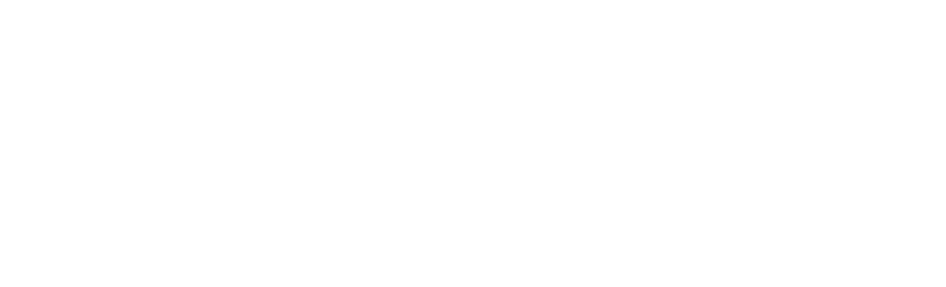 DJ Brian Logo watermark